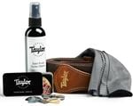 Taylor 1320 GS Mini Travel Guitar Essentials Pack Front View